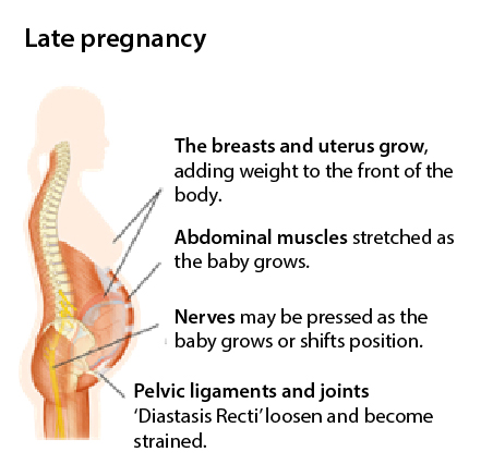 latepregnancy.jpg