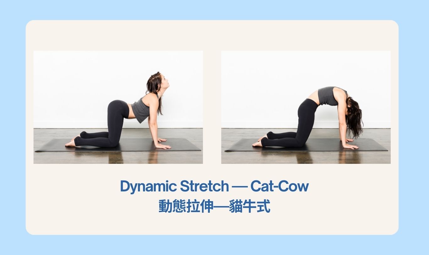 3-cat-cow stretch.jpg